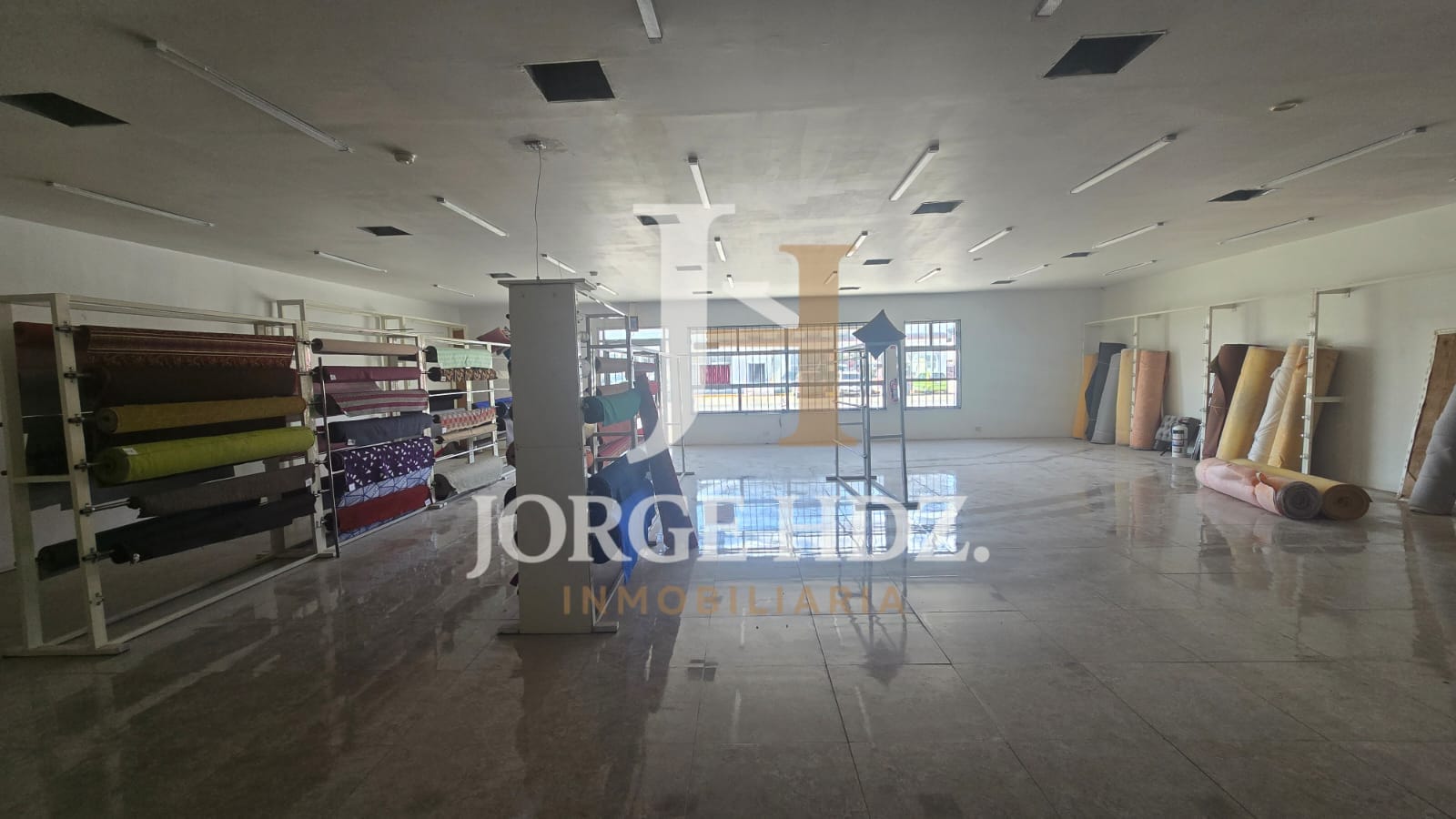 Fotografía 14 de Insurgentes - El Barreal