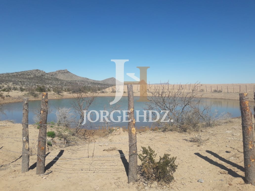 Fotografía 4 de Rancho Tinajos de Cantarrecio - Carretera Ciudad Juárez–Chihuahua