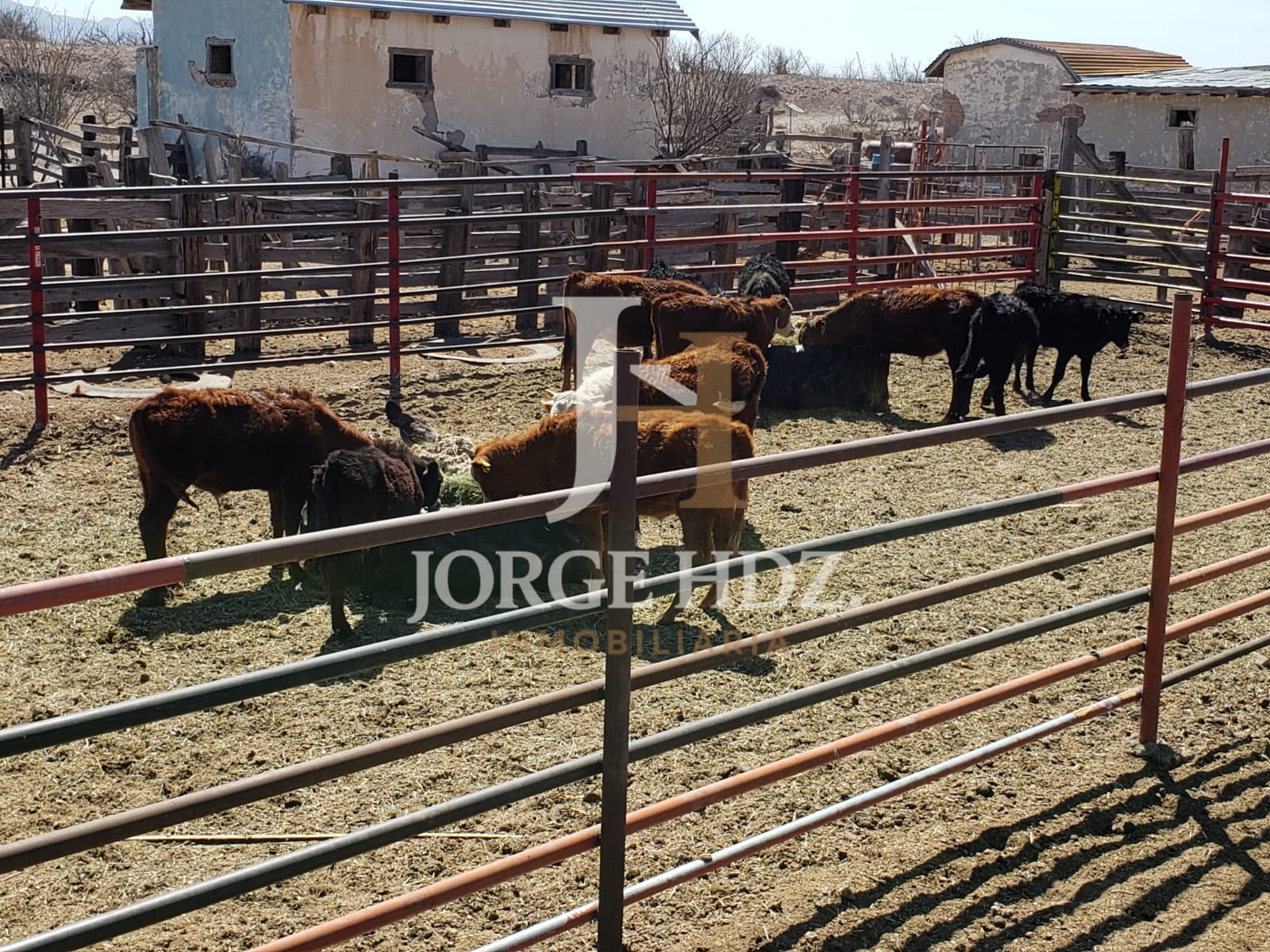 Fotografía 6 de Rancho Tinajos de Cantarrecio - Carretera Ciudad Juárez–Chihuahua